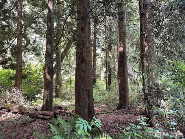 6790 Shelter Lane, Ferndale, WA 98248
