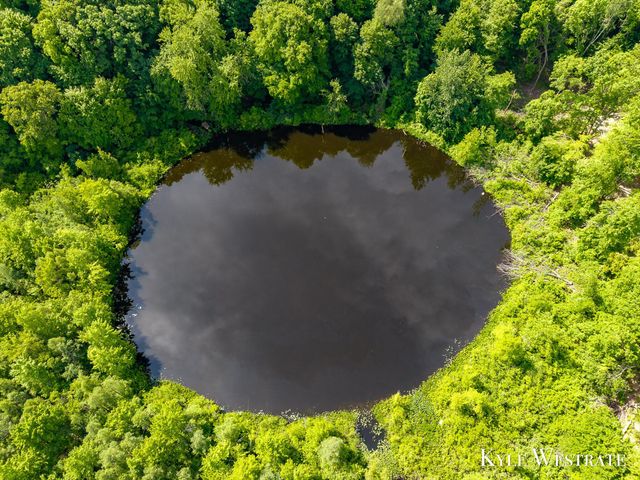 5505 Keller Road, Delton, MI 49046