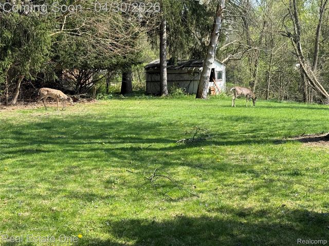 16450 Savoie Street, Livonia, MI 48154