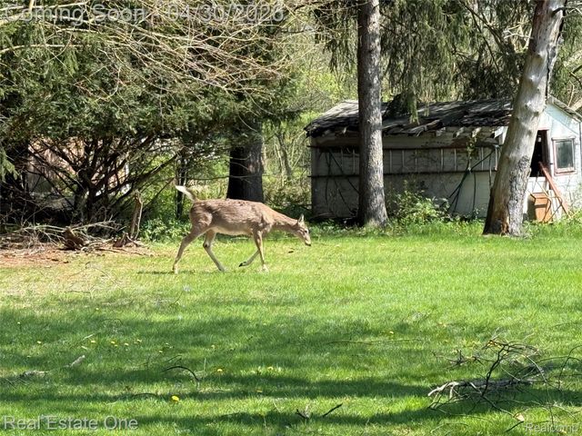 16450 Savoie Street, Livonia, MI 48154