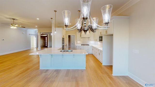 Jordan Plan Green Lite Way, Huntsville, AL 35811