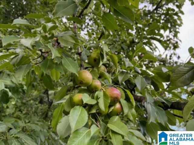 1072 ALFORD AVENUE, Hoover, AL 35226