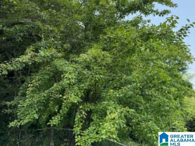 1072 ALFORD AVENUE, Hoover, AL 35226