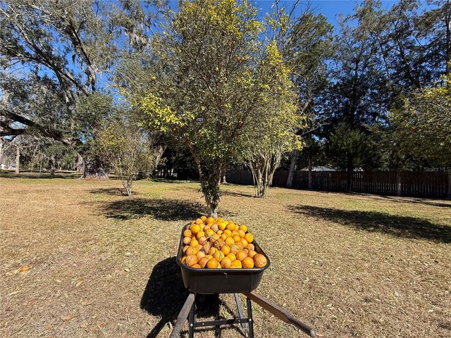 2039 SW STATE ROAD 26, Trenton, FL 32693