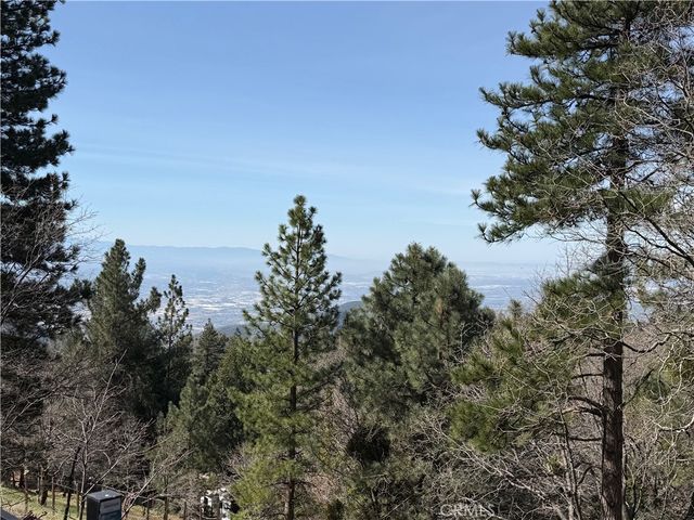 30445 Live Oak, Running Springs, CA 92382