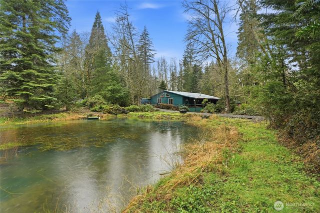 40408 NE Cedar Ridge Road, Amboy, WA 98601