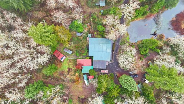 40408 NE Cedar Ridge Road, Amboy, WA 98601