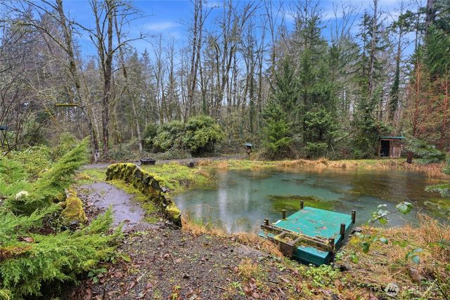 40408 NE Cedar Ridge Road, Amboy, WA 98601