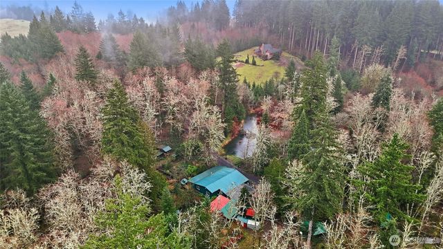 40408 NE Cedar Ridge Road, Amboy, WA 98601