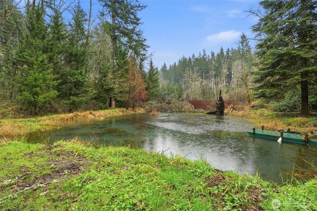 40408 NE Cedar Ridge Road, Amboy, WA 98601