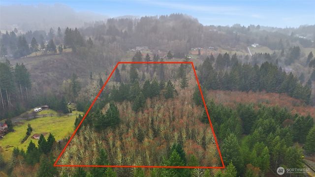 40408 NE Cedar Ridge Road, Amboy, WA 98601