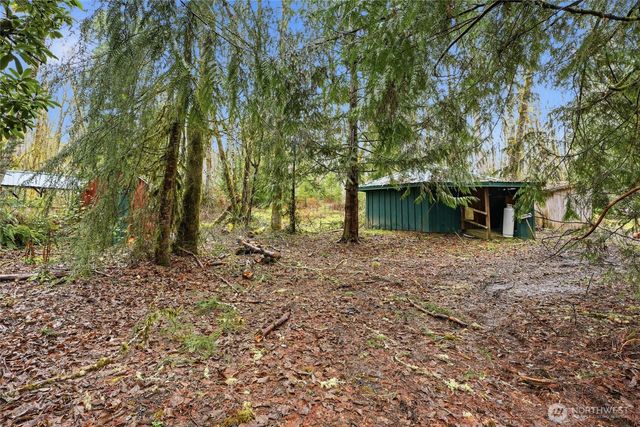 40408 NE Cedar Ridge Road, Amboy, WA 98601