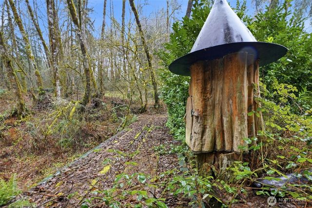 40408 NE Cedar Ridge Road, Amboy, WA 98601