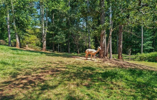3204 Reavis Mountain Road, Ball Ground, GA 30107