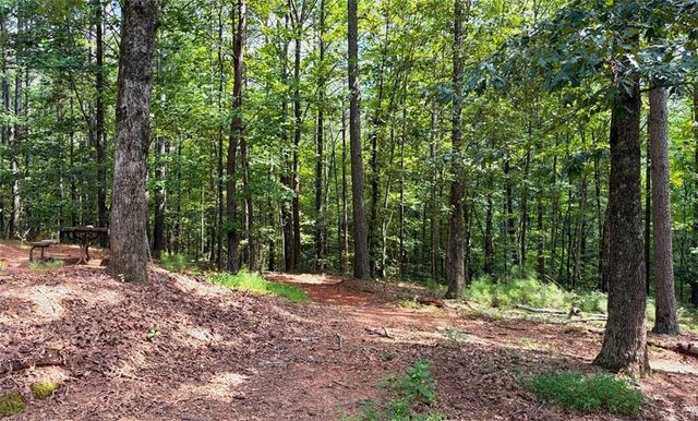 3204 Reavis Mountain Road, Ball Ground, GA 30107