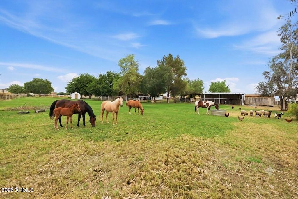 Image 45 of property listing at 1566 E PAINT HORSE Place, San Tan Valley, AZ 85140