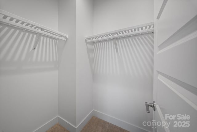 109 Collin Place 4, Asheville, NC 28804