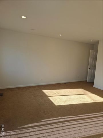 228 Willowrun Drive, Moro, IL 62067