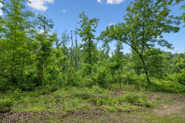 4754 Ridgetop Rd, Hampshire, TN 38461