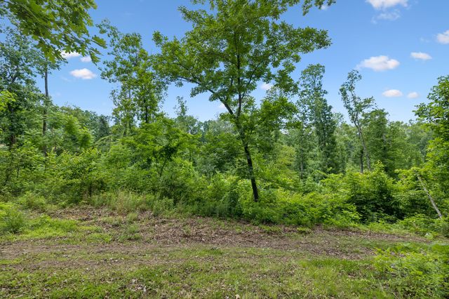 4754 Ridgetop Rd, Hampshire, TN 38461
