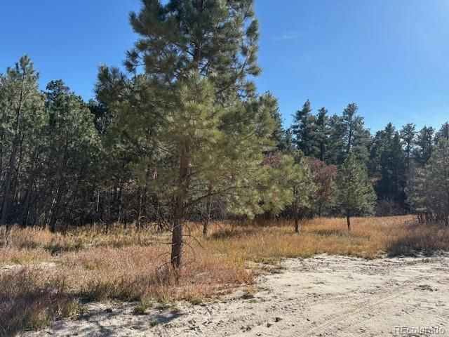 3715 El Rancho Way, Monument, CO 80132