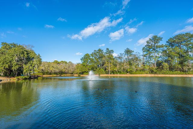 1627 Dexter Lane, Charleston, SC 29412