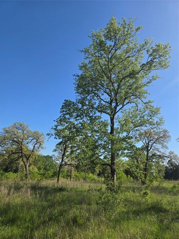 10557 Roy Road, Flatonia, TX 78941