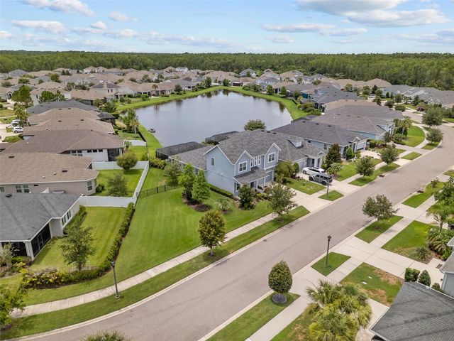 3164 SATILLA LOOP, Odessa, FL 33556