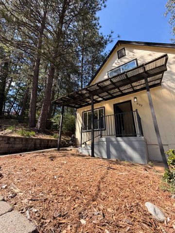 699 Tu Yu Mum Ln, Colfax, CA 95713