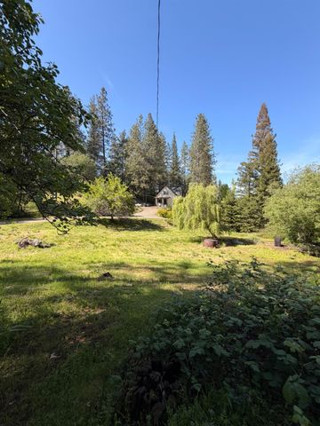 699 Tu Yu Mum Ln, Colfax, CA 95713