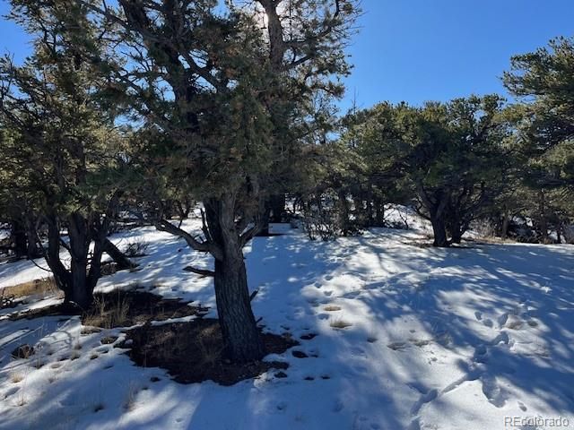 Lot 7898 Tiernan Road, Fort Garland, CO 81133