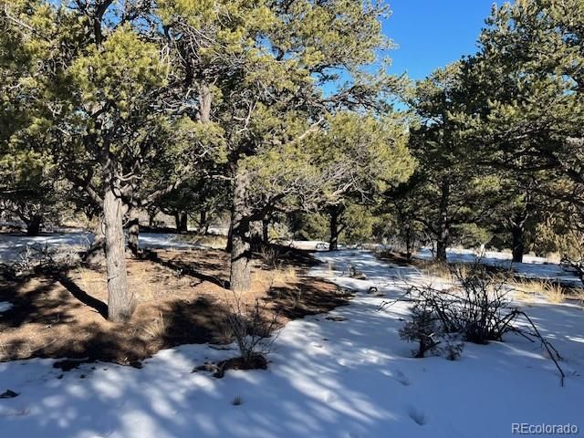 Lot 7898 Tiernan Road, Fort Garland, CO 81133