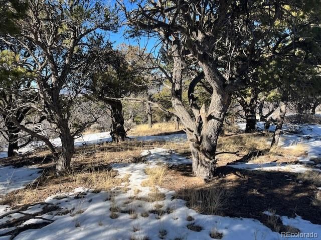 Lot 7898 Tiernan Road, Fort Garland, CO 81133