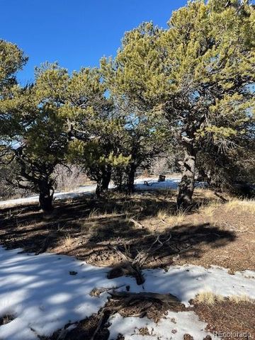 Lot 7898 Tiernan Road, Fort Garland, CO 81133