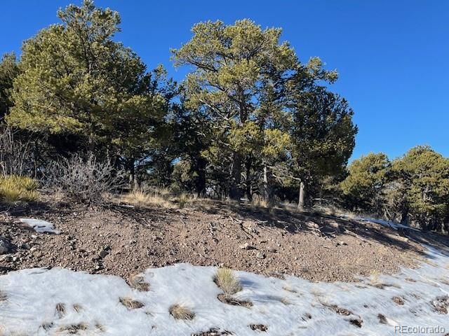 Lot 7898 Tiernan Road, Fort Garland, CO 81133