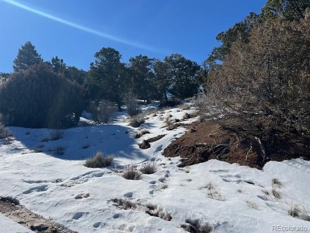 Lot 7898 Tiernan Road, Fort Garland, CO 81133