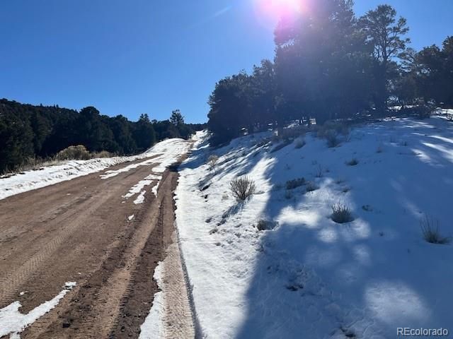 Lot 7898 Tiernan Road, Fort Garland, CO 81133