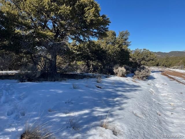 Lot 7898 Tiernan Road, Fort Garland, CO 81133