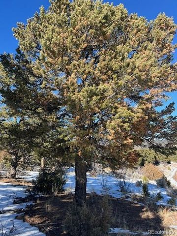 Lot 7898 Tiernan Road, Fort Garland, CO 81133