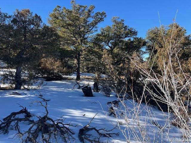 Lot 7898 Tiernan Road, Fort Garland, CO 81133