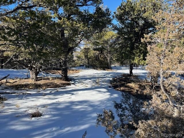 Lot 7898 Tiernan Road, Fort Garland, CO 81133