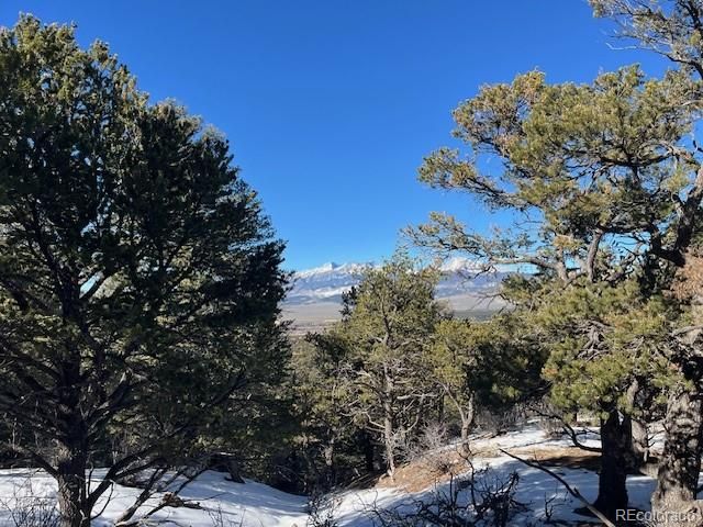 Lot 7898 Tiernan Road, Fort Garland, CO 81133