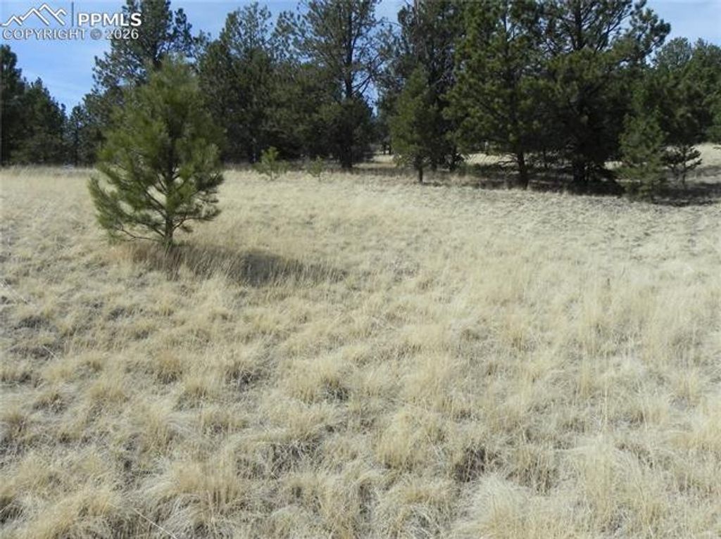 1058 Monarch Drive, Cripple Creek, CO 80813 — photo 2
