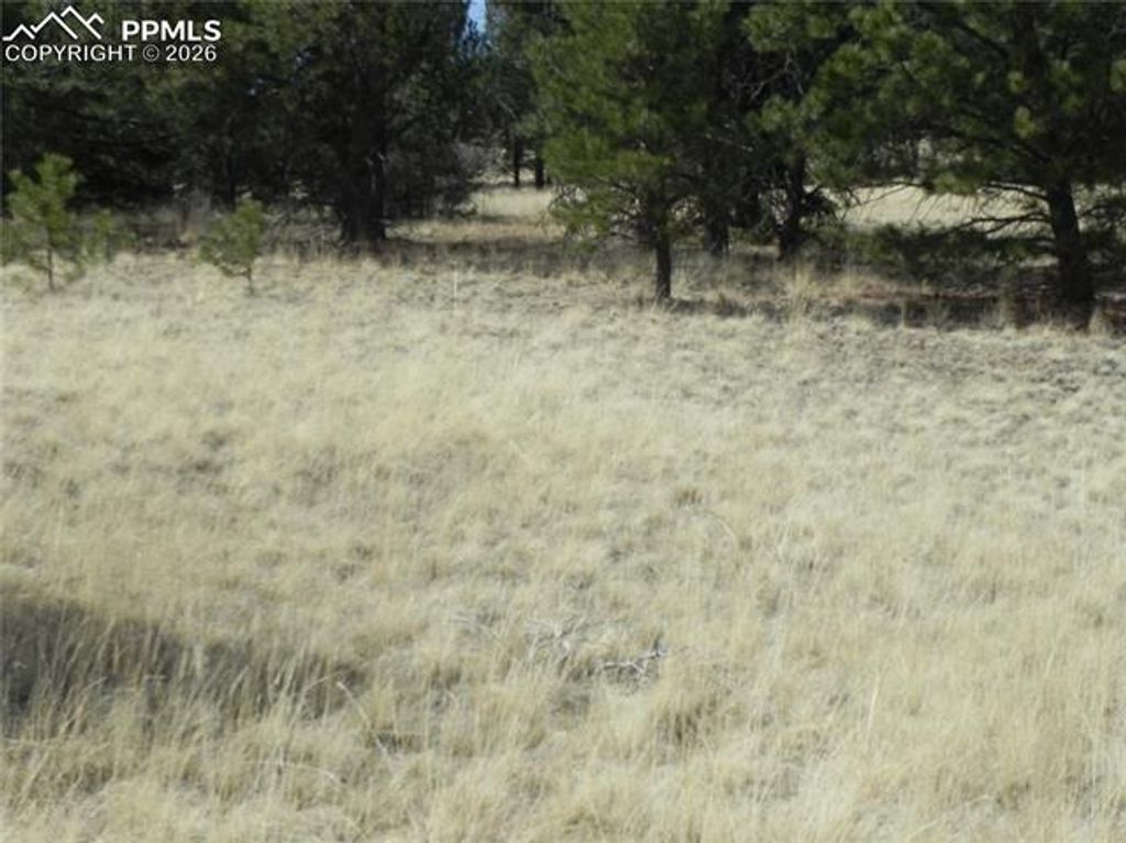 1058 Monarch Drive, Cripple Creek, CO 80813 — photo 3