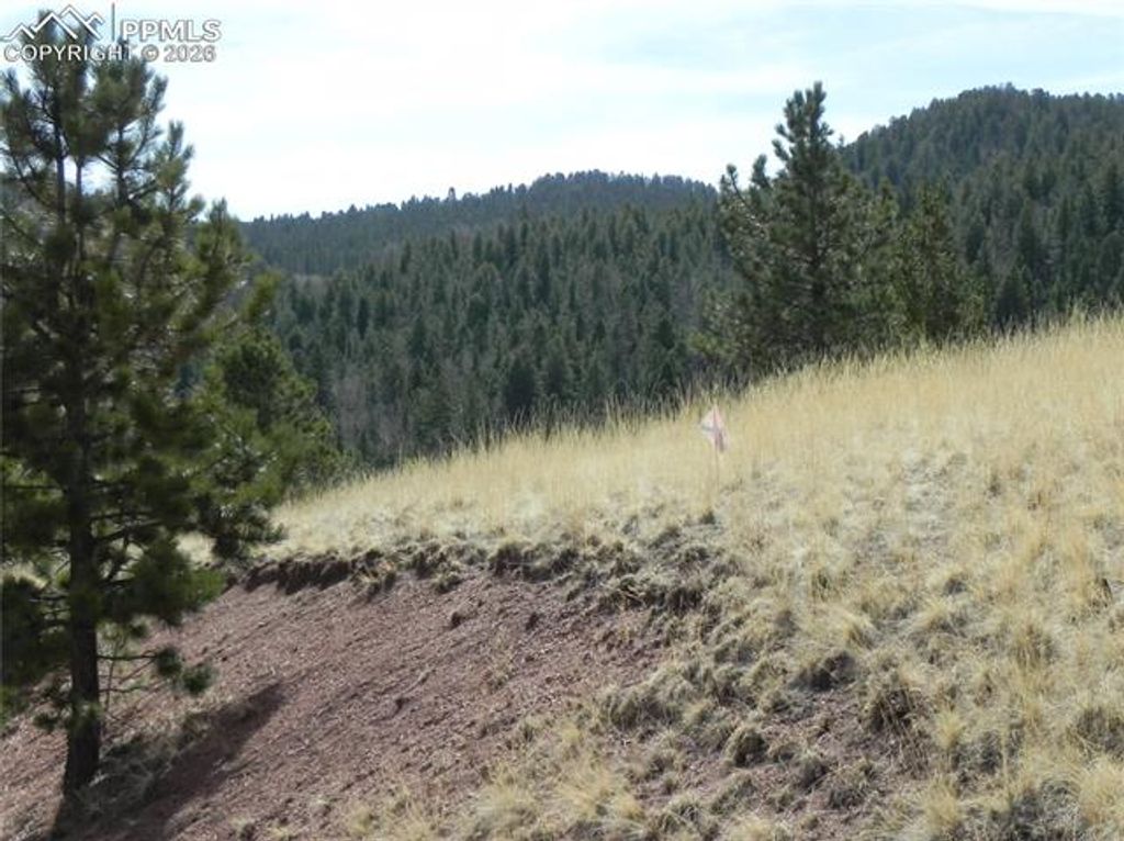 1058 Monarch Drive, Cripple Creek, CO 80813 — photo 4