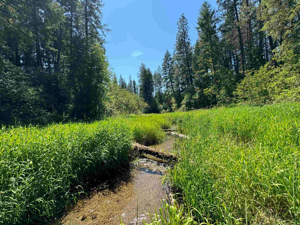 402 N Beck Ln, Springdale, WA 99173