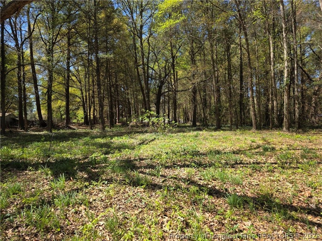 5354 Muscat Road, Hope Mills, NC 28348 — photo 10