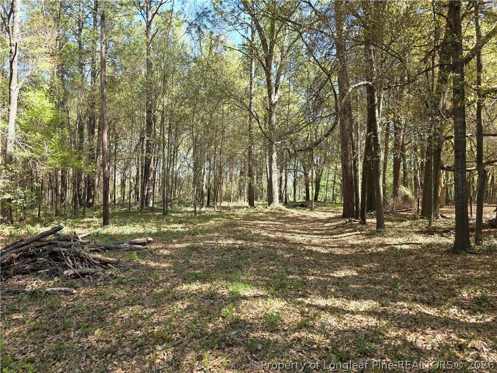 5354 Muscat Road, Hope Mills, NC 28348 — photo 12