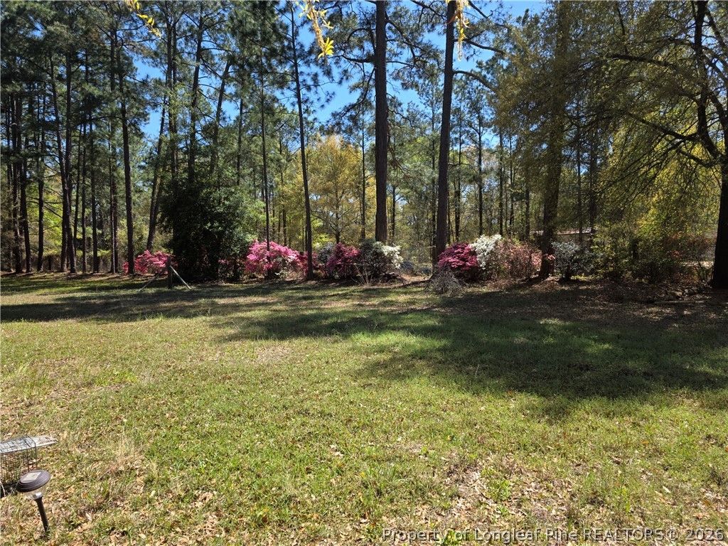 5354 Muscat Road, Hope Mills, NC 28348 — photo 13