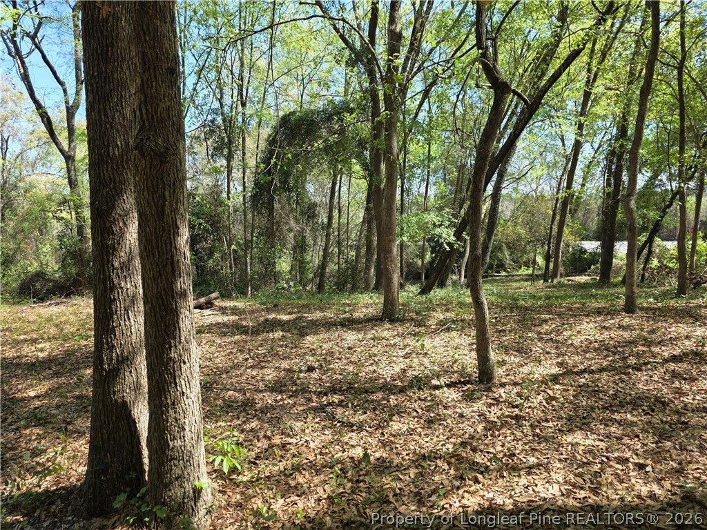 5354 Muscat Road, Hope Mills, NC 28348 — photo 6